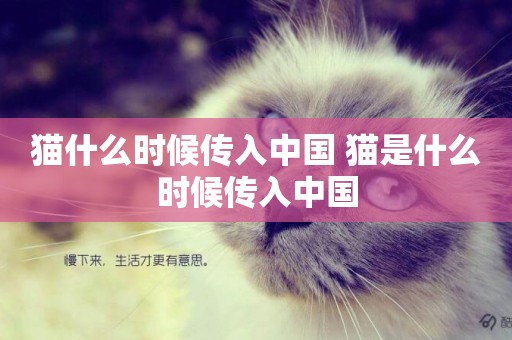 貓什么時候傳入中國 貓是什么時候傳入中國