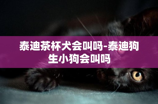 泰迪茶杯犬會叫嗎-泰迪狗生小狗會叫嗎
