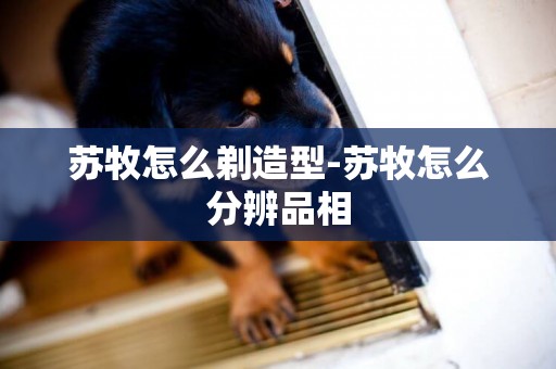 蘇牧怎么剃造型-蘇牧怎么分辨品相