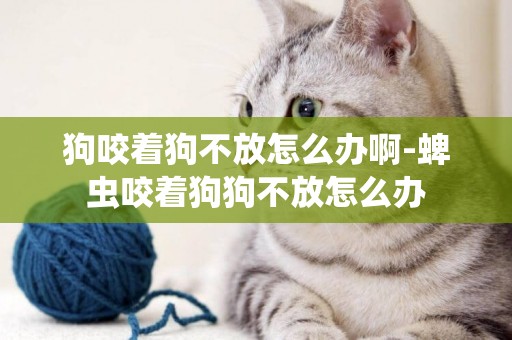 狗咬著狗不放怎么辦啊-蜱蟲咬著狗狗不放怎么辦