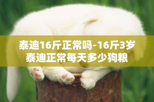 泰迪16斤正常嗎-16斤3歲泰迪正常每天多少狗糧