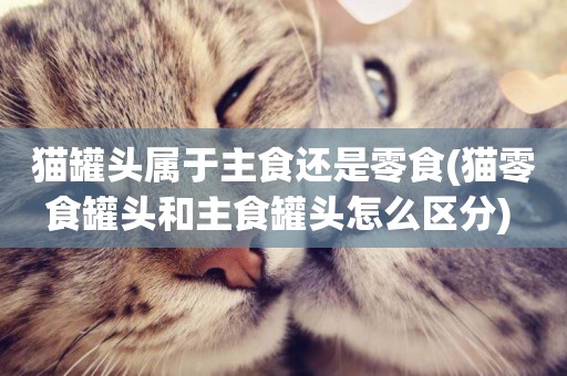 貓罐頭屬于主食還是零食(貓零食罐頭和主食罐頭怎么區分) 