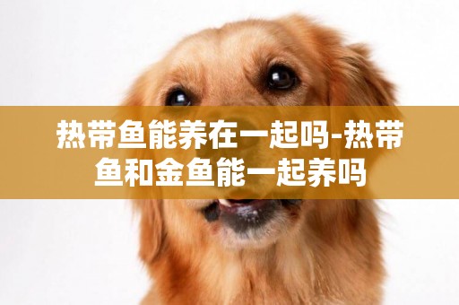熱帶魚能養在一起嗎-熱帶魚和金魚能一起養嗎