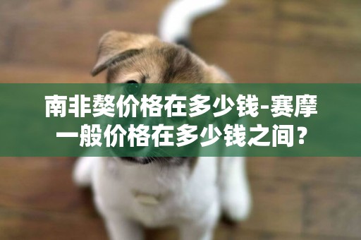 南非獒價格在多少錢-賽摩一般價格在多少錢之間？