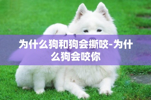 為什么狗和狗會撕咬-為什么狗會咬你