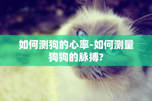 如何測狗的心率-如何測量狗狗的脈搏?