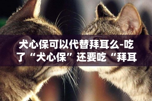 犬心保可以代替拜耳么-吃了“犬心保”還要吃“拜耳”驅蟲藥嗎？