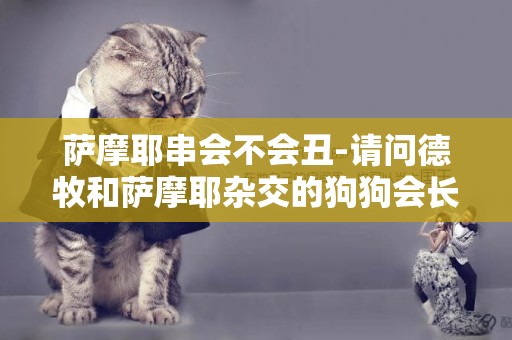 薩摩耶串會不會丑-請問德牧和薩摩耶雜交的狗狗會長得很大嗎？