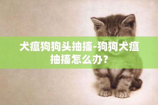 犬瘟狗狗頭抽搐-狗狗犬瘟抽搐怎么辦？