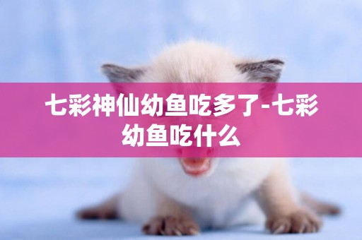 七彩神仙幼魚吃多了-七彩幼魚吃什么