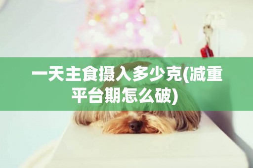 一天主食攝入多少克(減重平臺期怎么破) 