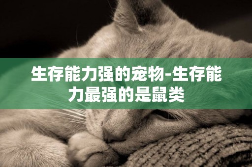生存能力強的寵物-生存能力最強的是鼠類