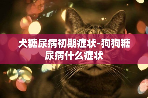 犬糖尿病初期癥狀-狗狗糖尿病什么癥狀
