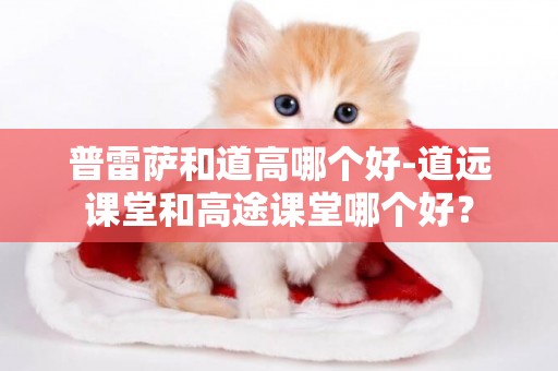 普雷薩和道高哪個好-道遠課堂和高途課堂哪個好？