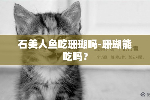 石美人魚吃珊瑚嗎-珊瑚能吃嗎？