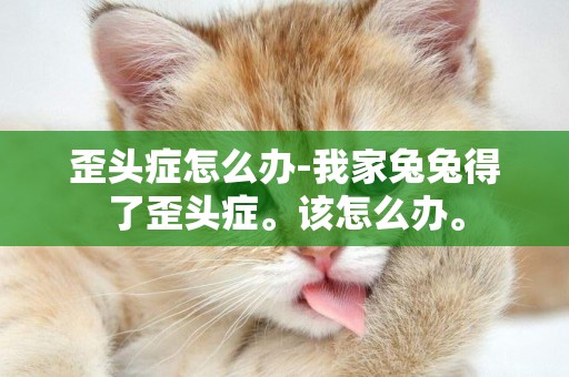 歪頭癥怎么辦-我家兔兔得了歪頭癥。該怎么辦。