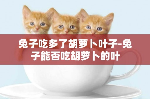 兔子吃多了胡蘿卜葉子-兔子能否吃胡蘿卜的葉