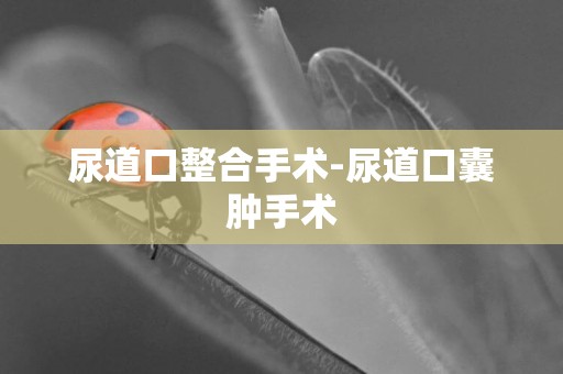 尿道口整合手術-尿道口囊腫手術