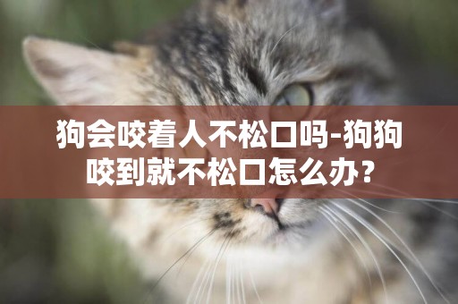 狗會咬著人不松口嗎-狗狗咬到就不松口怎么辦？