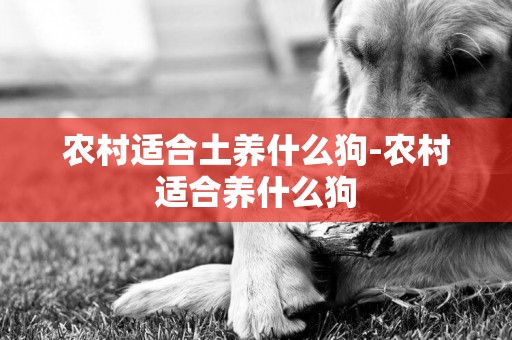 農村適合土養什么狗-農村適合養什么狗