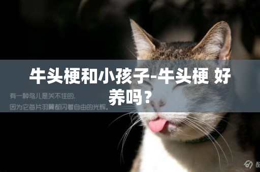 牛頭梗和小孩子-牛頭梗 好養嗎？