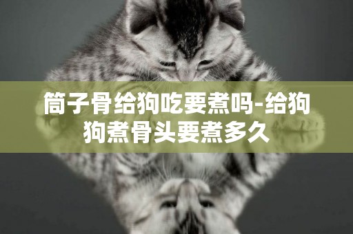 筒子骨給狗吃要煮嗎-給狗狗煮骨頭要煮多久