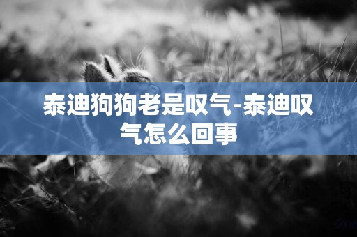 泰迪狗狗老是嘆氣-泰迪嘆氣怎么回事