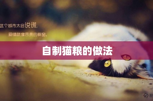 自制貓糧的做法