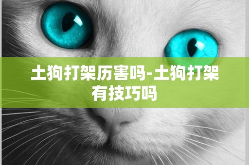 土狗打架歷害嗎-土狗打架有技巧嗎
