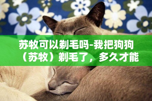 蘇牧可以剃毛嗎-我把狗狗（蘇牧）剃毛了，多久才能長長