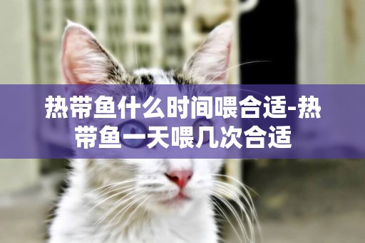 熱帶魚什么時間喂合適-熱帶魚一天喂幾次合適