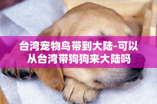 臺灣寵物鳥帶到大陸-可以從臺灣帶狗狗來大陸嗎
