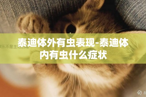 泰迪體外有蟲表現-泰迪體內有蟲什么癥狀