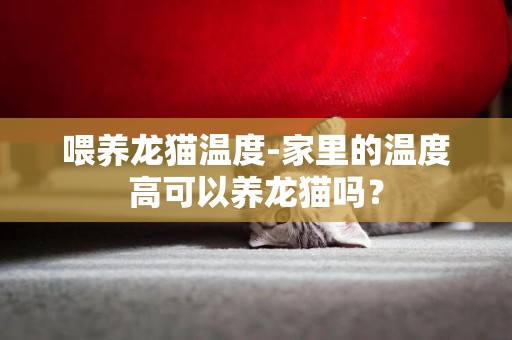 喂養龍貓溫度-家里的溫度高可以養龍貓嗎？