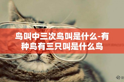 鳥叫中三次鳥叫是什么-有種鳥有三只叫是什么鳥