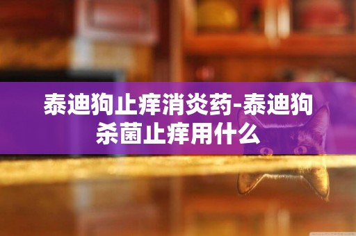 泰迪狗止癢消炎藥-泰迪狗殺菌止癢用什么