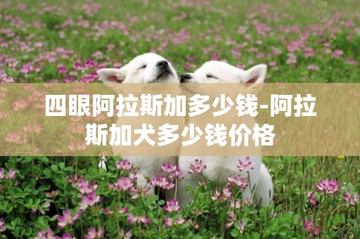 四眼阿拉斯加多少錢-阿拉斯加犬多少錢價格