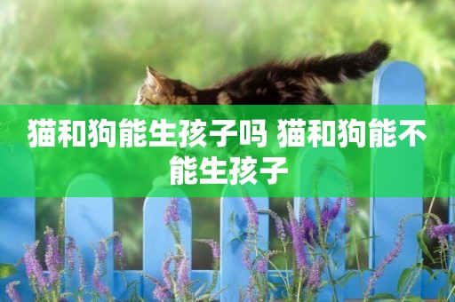 貓和狗能生孩子嗎 貓和狗能不能生孩子