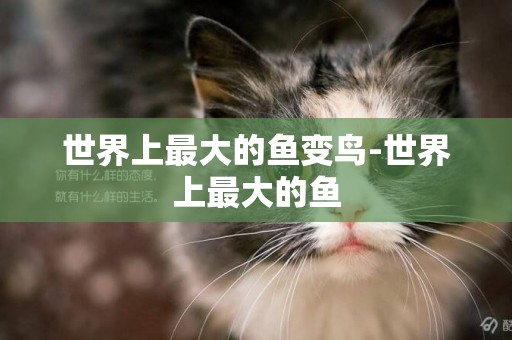 世界上最大的魚變鳥-世界上最大的魚