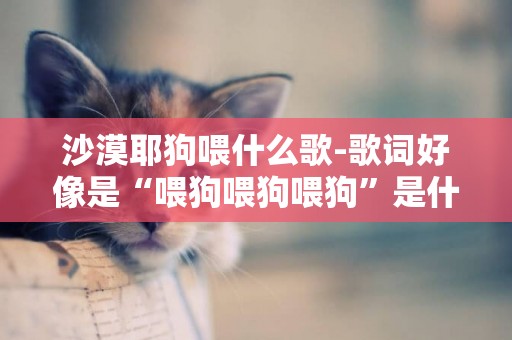 沙漠耶狗喂什么歌-歌詞好像是“喂狗喂狗喂狗”是什么歌？