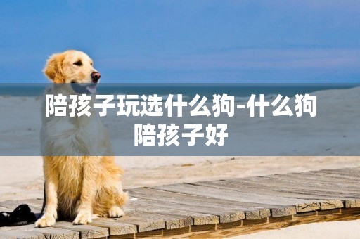 陪孩子玩選什么狗-什么狗陪孩子好