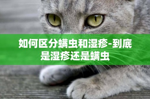 如何區分螨蟲和濕疹-到底是濕疹還是螨蟲