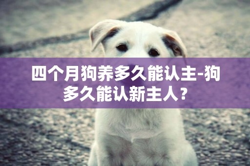 四個月狗養多久能認主-狗多久能認新主人？