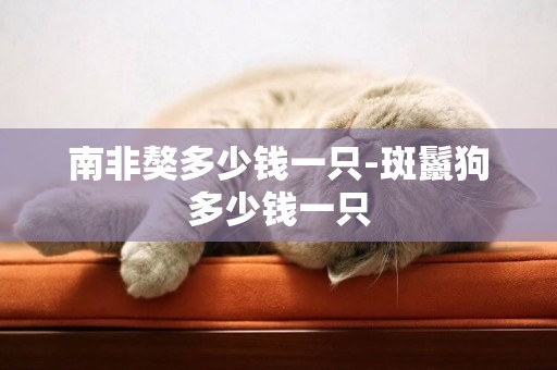 南非獒多少錢一只-斑鬣狗多少錢一只