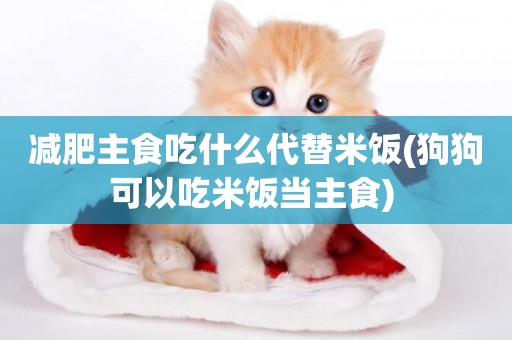減肥主食吃什么代替米飯(狗狗可以吃米飯當主食) 