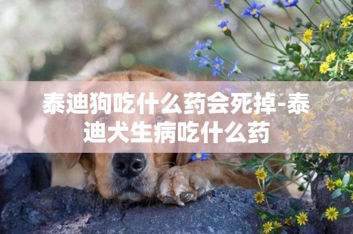 泰迪狗吃什么藥會死掉-泰迪犬生病吃什么藥