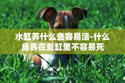 水缸養什么魚容易活-什么魚養在魚缸里不容易死