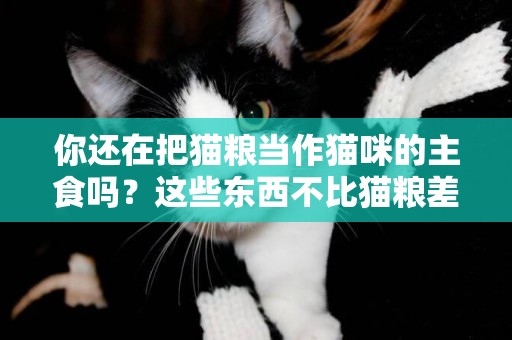 你還在把貓糧當作貓咪的主食嗎？這些東西不比貓糧差哦！ 