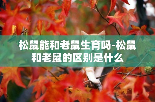 松鼠能和老鼠生育嗎-松鼠和老鼠的區別是什么