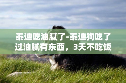 泰迪吃油膩了-泰迪狗吃了過油膩有東西，3天不吃飯了,